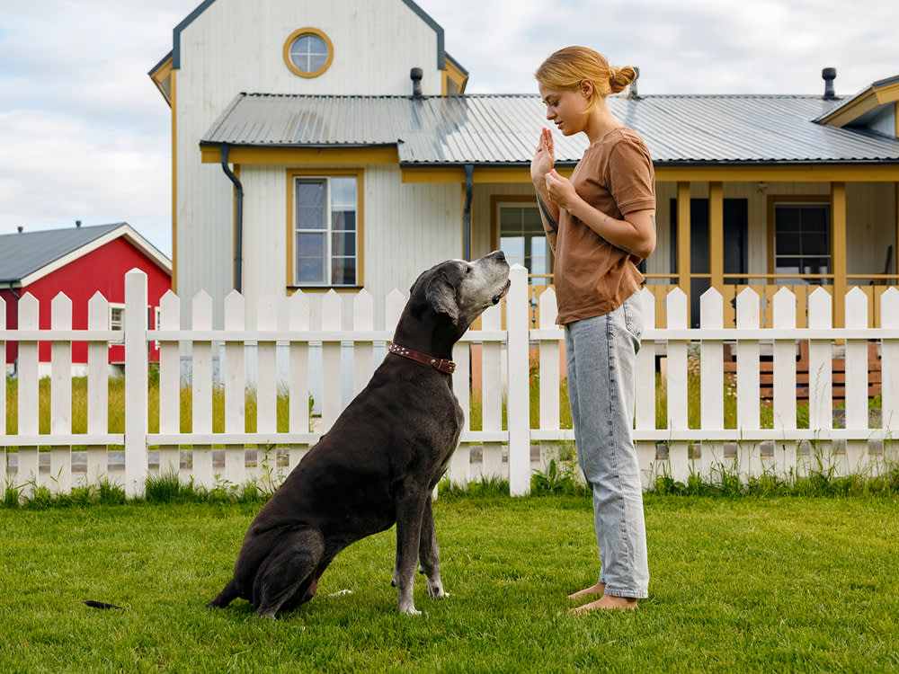 Everyone in Your Life Is Quietly Undoing Your Dog's Training