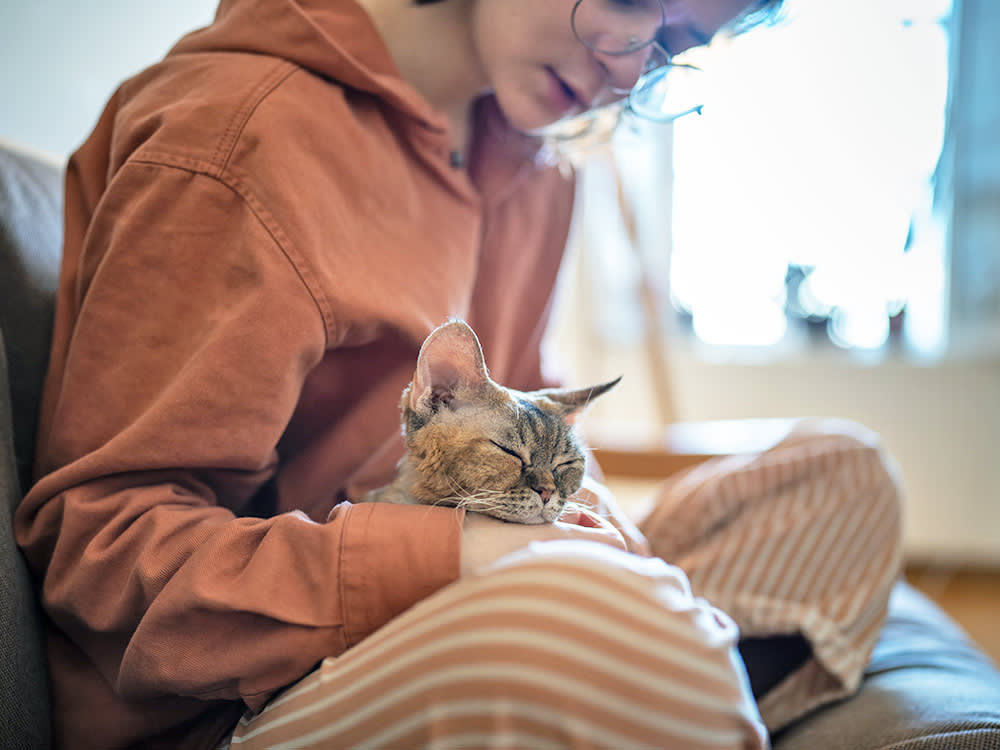 Your Kitten Can't Poop: When It's a Pumpkin Fix and When It's an Emergency
