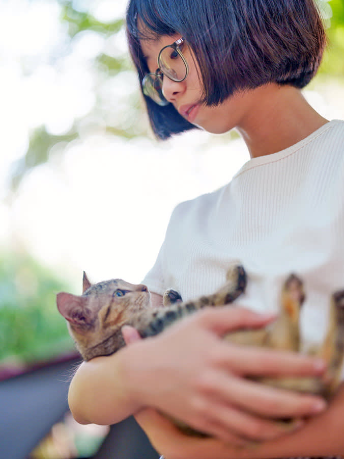 If Your Kitten Hasn't Pooped in 48 Hours, Treat It as an Emergency