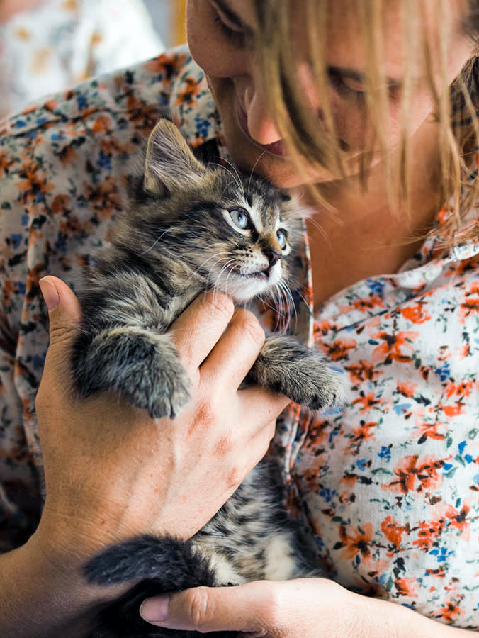 Your Kitten Is Losing Teeth Right Now and You'll Probably Never See It Happen