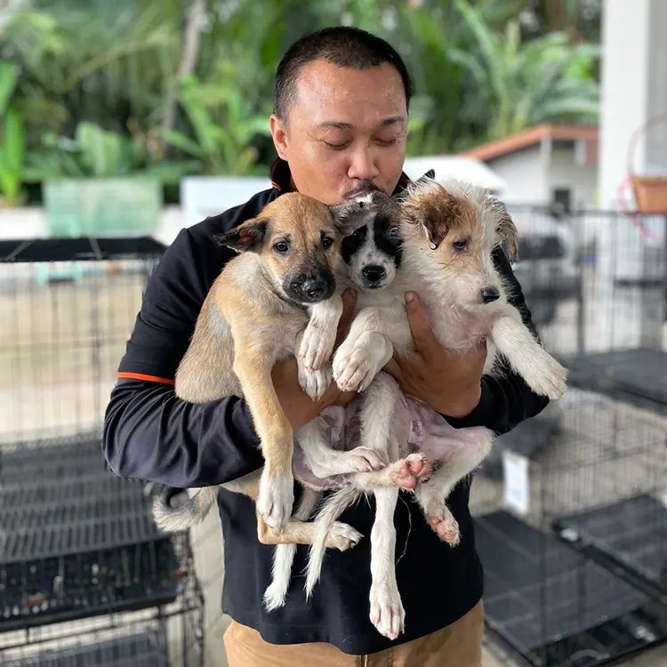 27 Dogs Flew to America From a Korean Meat Farm. The Country That Bred Them Is Now Ending the Trade.