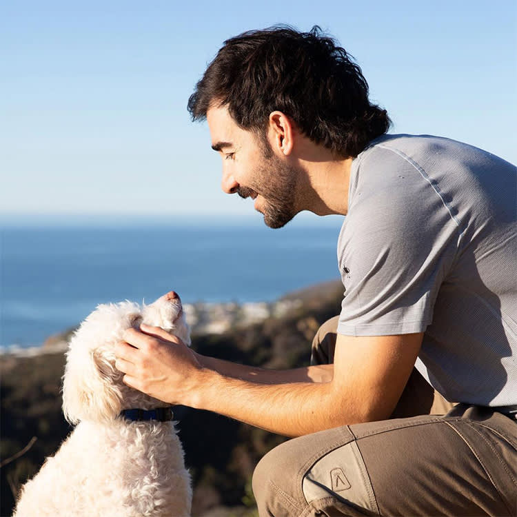 The Fires Rewrote LA's Dog-Hiking Map. Here's What's Actually Open.