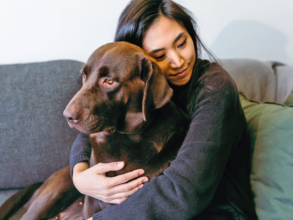LA's Big Shelter Idea: Pay People to Foster