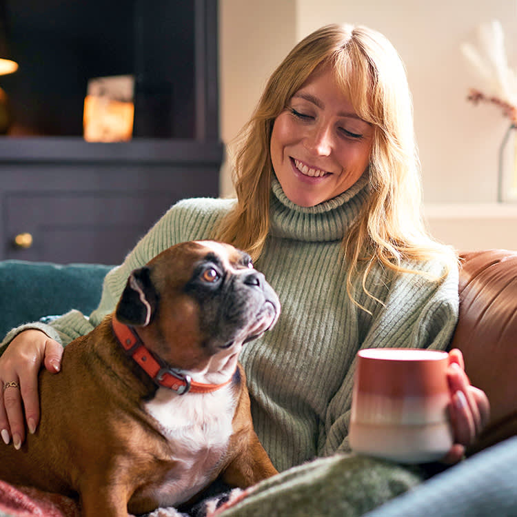 The 'Let Them' Theory Works on Pets. Because It's Just Management With Better PR.