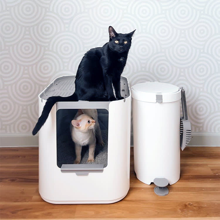 The Prettiest Litter Box Cover Is Useless If Your Cat Boycotts It