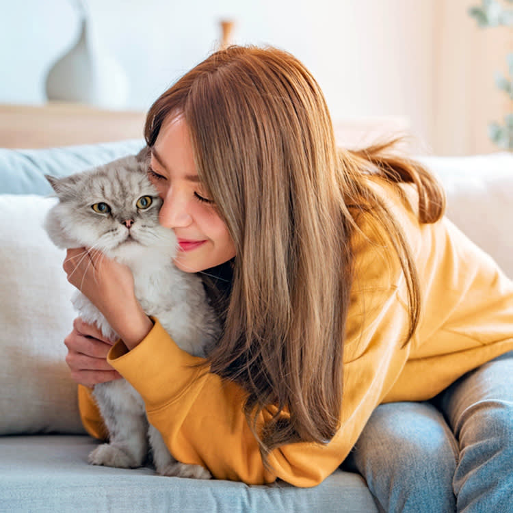 Long Hair Is the Least Important Thing About a Long-Haired Cat