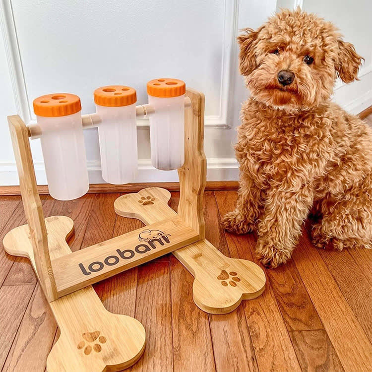 TikTok's Favorite Dog Feeder Is a Bamboo Speed Bag. The Science Backs It Up.