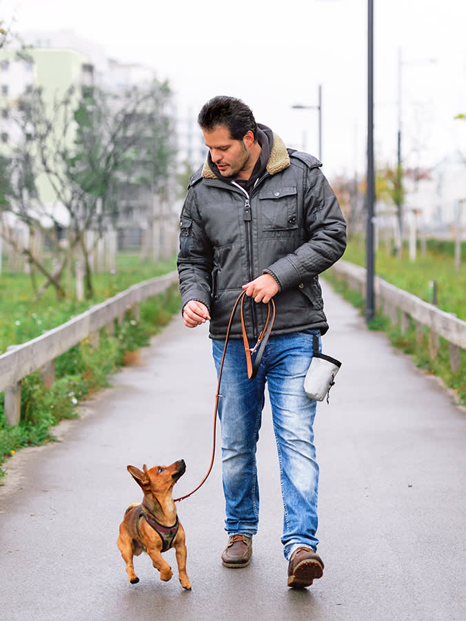 Your Dog's Side Should Be the Best Seat in the House