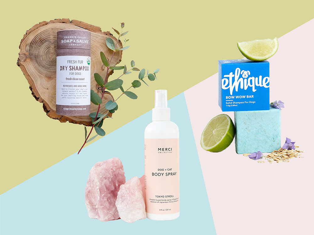 Most 'Eco' Dog Grooming Is Marketing. These 9 Actually Deliver