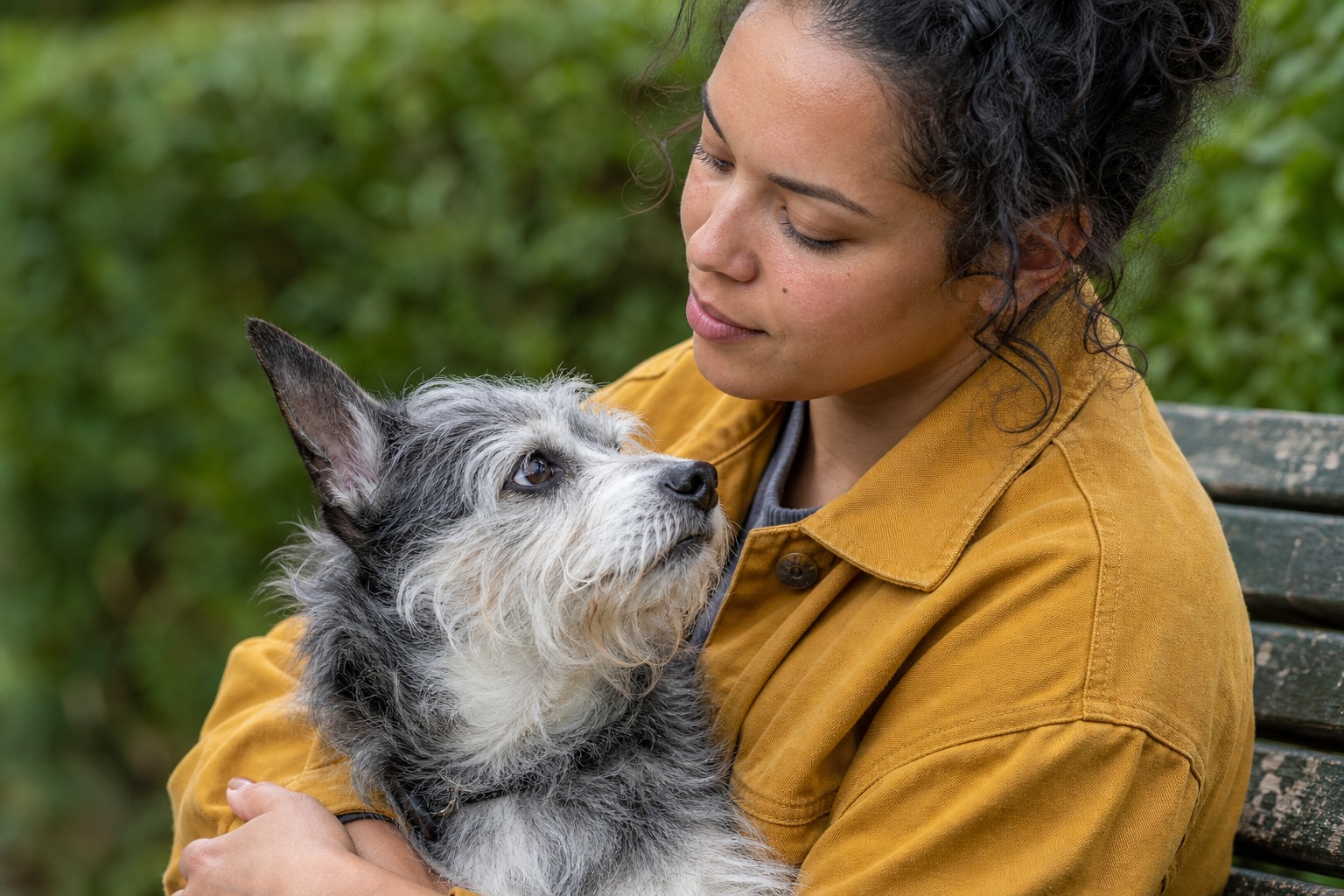The 'Love Hormone' Loop With Your Dog Is Real. The Famous Part Keeps Falling Apart.