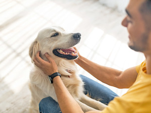 The Biggest Study Ever on Pets and Mental Health Is Funded by a Pet-Food Company