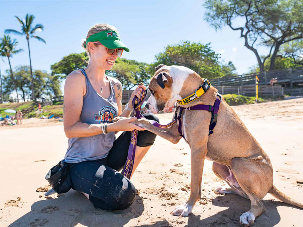 The Maui Beach Day That Doubles as a Job Interview for a Shelter Dog