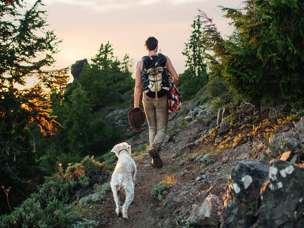Hike, Then Taproom: 7 Midwest Trips Built for Dogs (and Their Thirsty Humans)