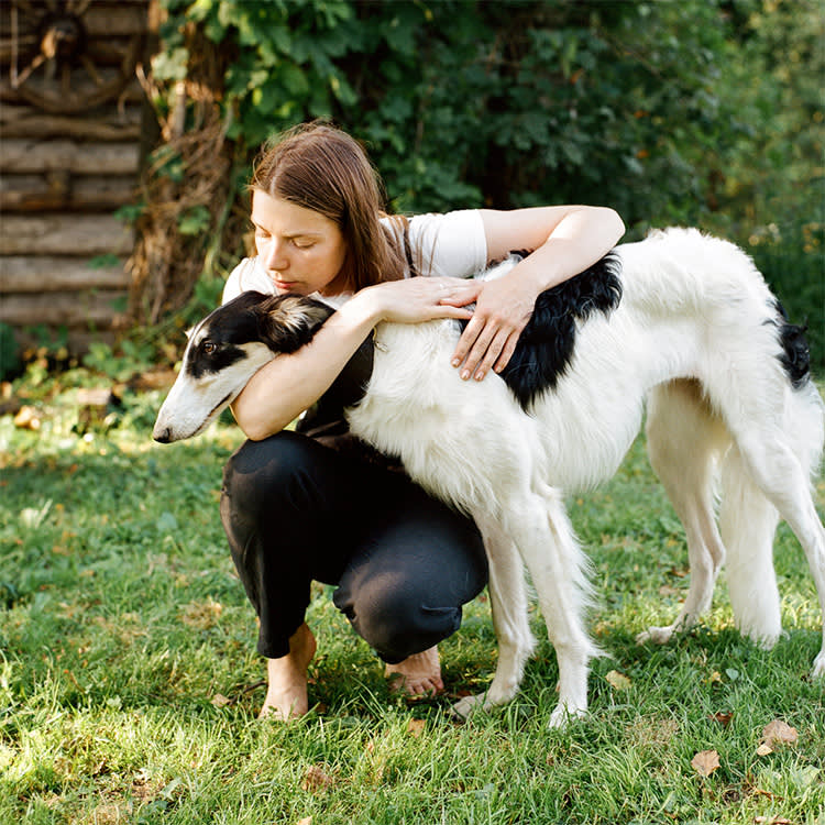 Mucus in Your Dog's Poop Is Not the Problem. Its Company Is.