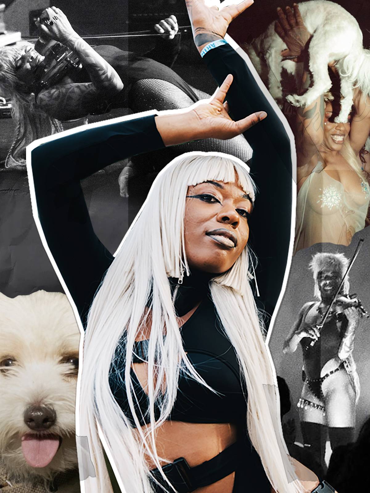 The Dog Who Didn't Miss Her Is Why the Album Got Made