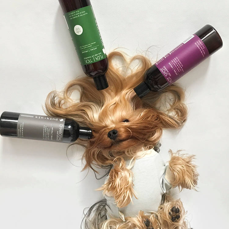 'Natural' Pet Care Is a Word Nobody Checks. Read the Back of the Bottle.