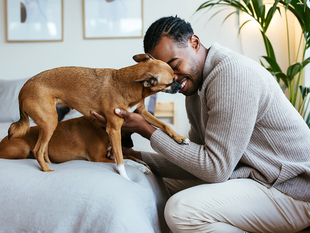Put Down the Neosporin. Your Dog Is Just Going to Eat It.