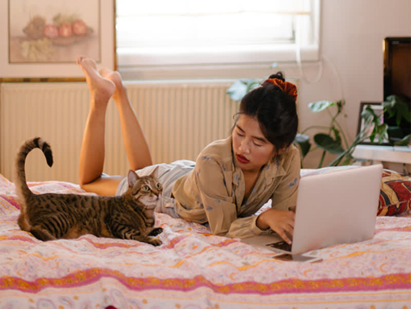 Give Your New Cat Less House. They'll Settle Faster.