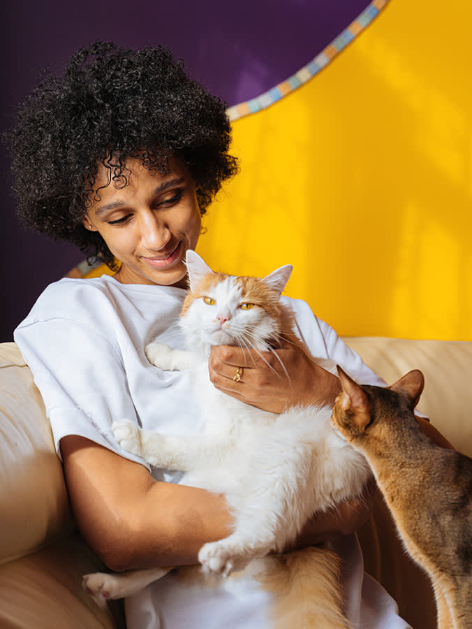 Your New Cat Isn't Aloof. They're Running a Background Check.