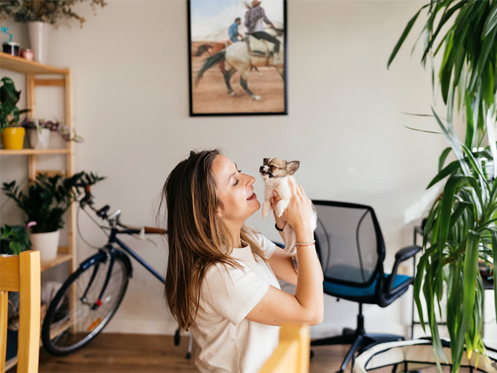 8 New-Pet To-Dos That Only Matter at 2 A.M.