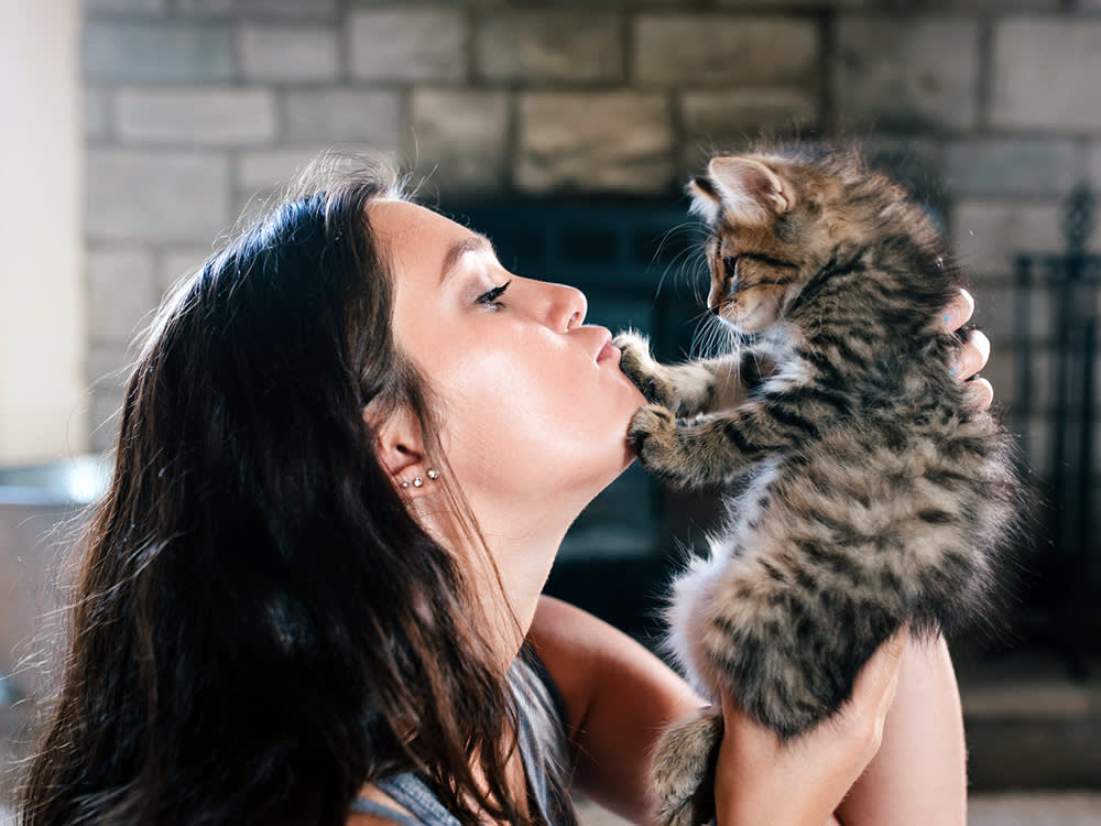 Take a Kitten Home Too Early and You'll Pay for It for 15 Years
