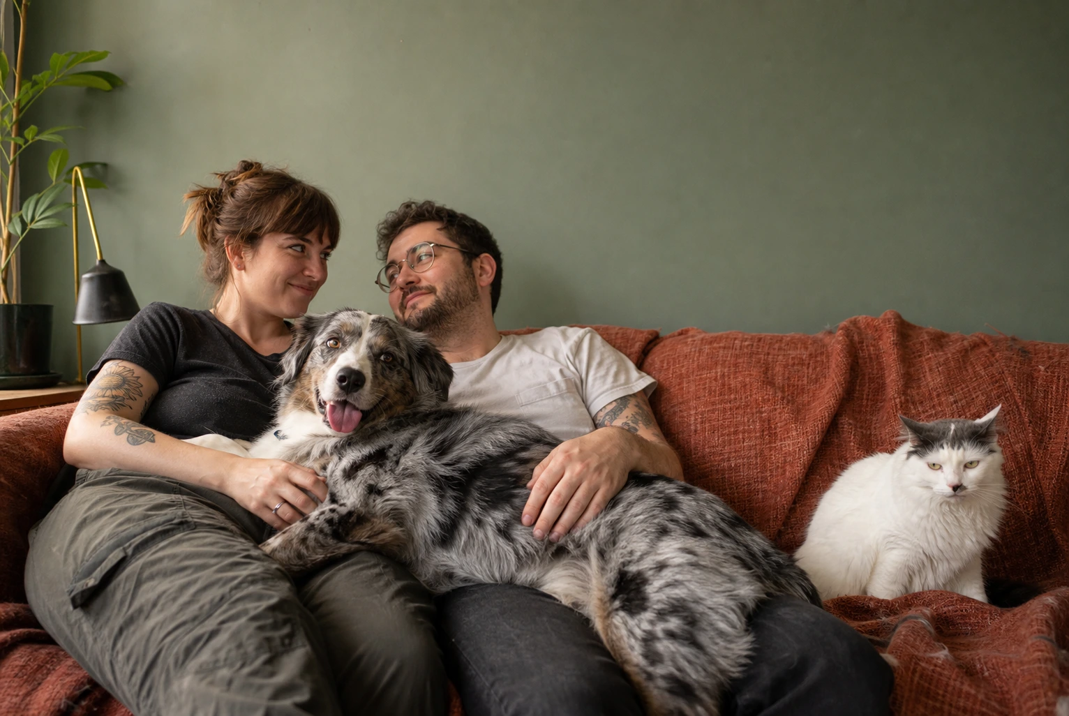 Merging Two Pets Into One Home: Which Fights End, and Which Never Will