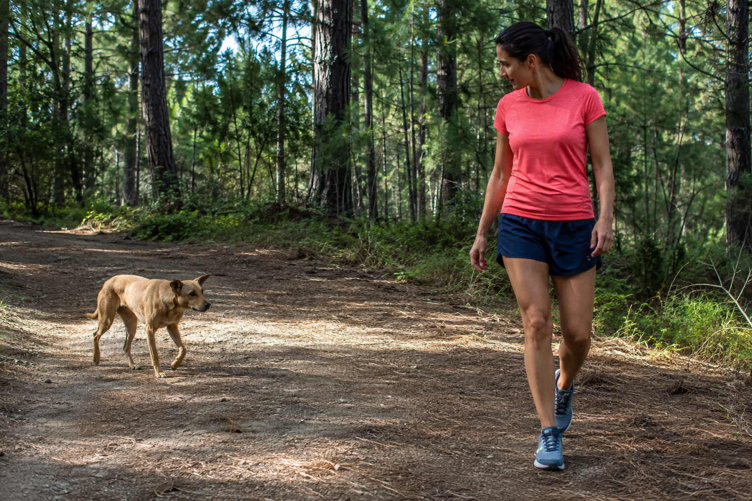A Loose Dog Is Charging You. Your Instincts Are Wrong.