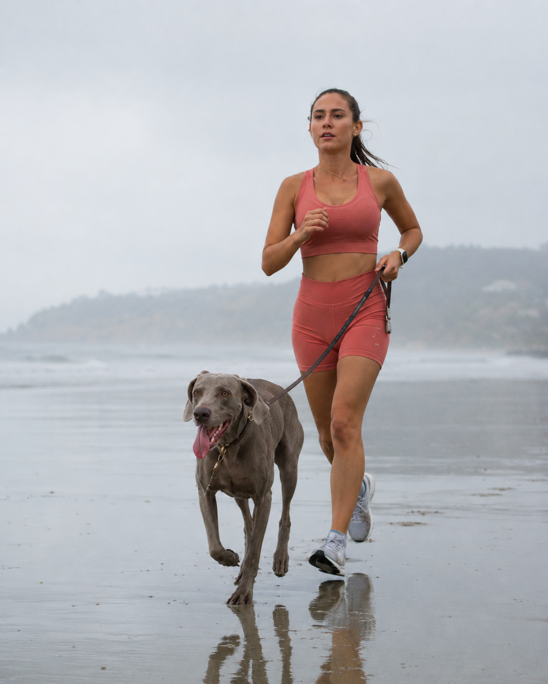 Can You Overexercise a Dog? The Signs You've Pushed Too Far