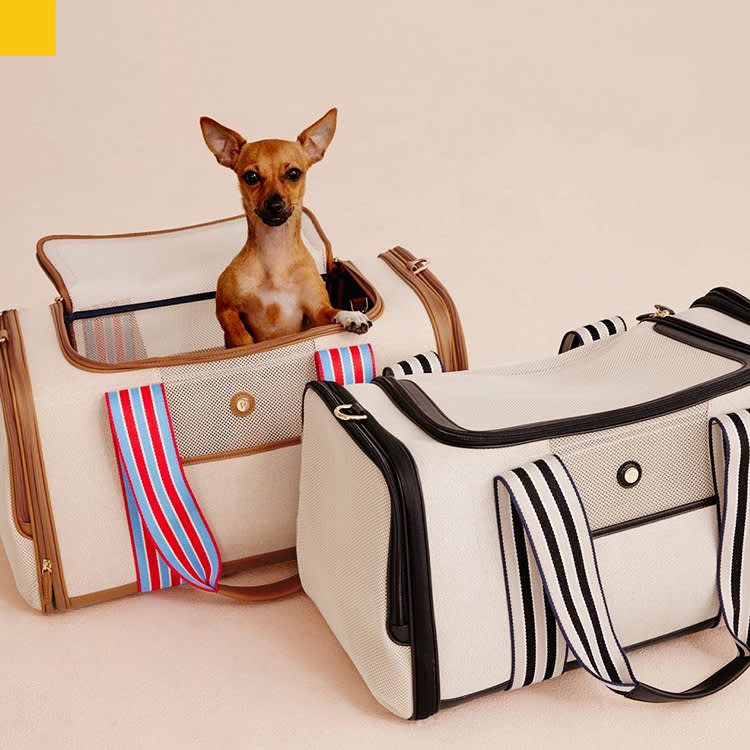 The Pet Carrier That Buys a Rescue Dog a Ride Out