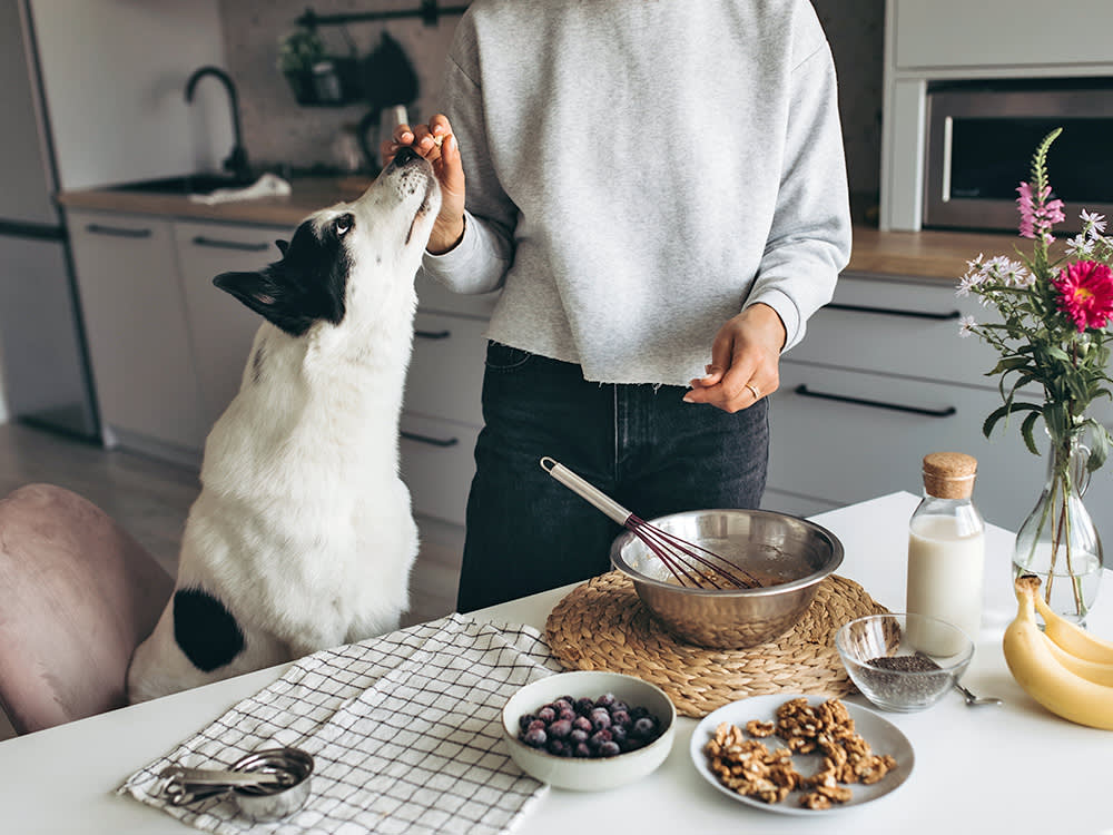 The 15-Minute Dog Treat That Needs No Oven (and One Jar You Should Never Use)