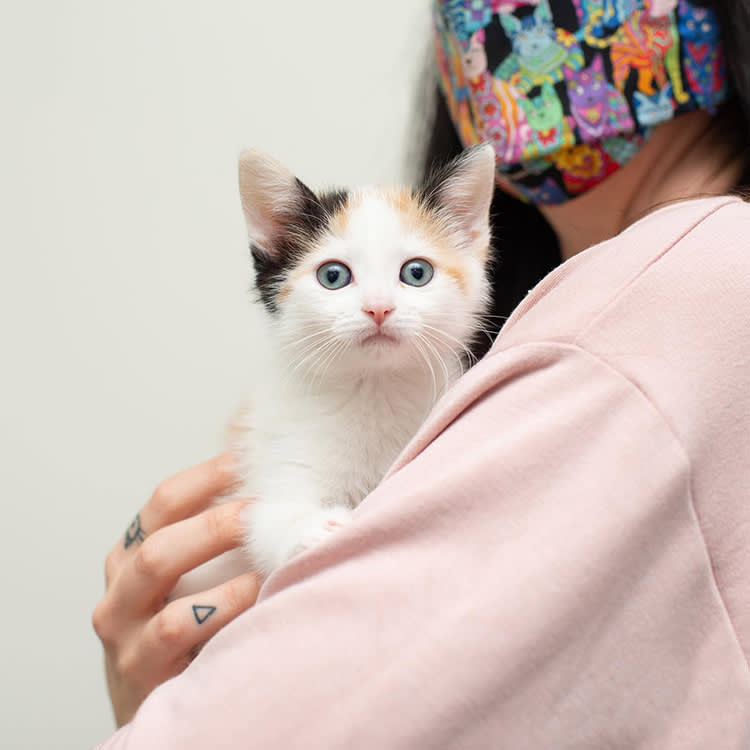 18 Pet Charities That Turn Your Giving Tuesday Dollar Into a Real Rescue