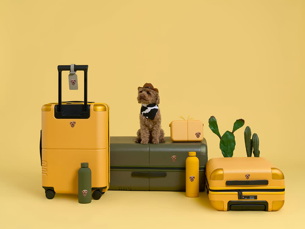 Putting Your Dog's Face on Your Suitcase Is Objectively the Best Bag Tag