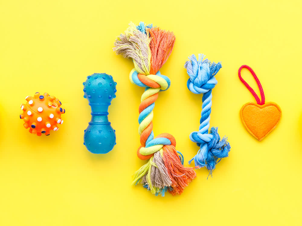 Your Pet's Toy Pile Is Working Against You