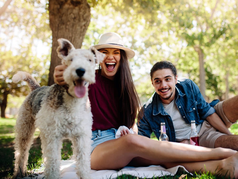 Petting a Dog Lights Up Your Social Brain, and the Glow Doesn't Fade When They Leave