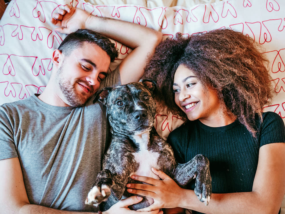 'Pit Bull' Isn't Even a Breed. That Didn't Stop the Headlines.
