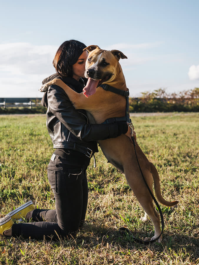 "Pit Bull" Isn't a Breed. That One Fact Dismantles Almost Every Myth