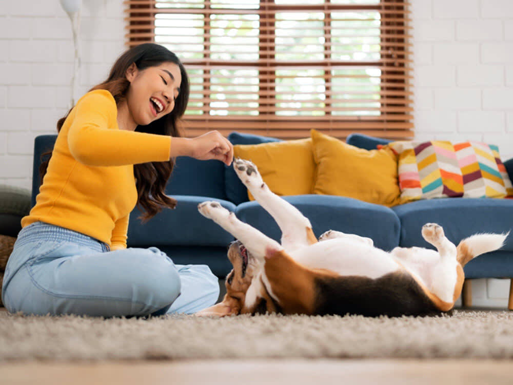 The Alzheimer's Drugs Did Nothing. Playtime Grew Their Brains.