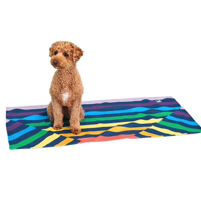 Dock & Bay pride rainbow pet towel