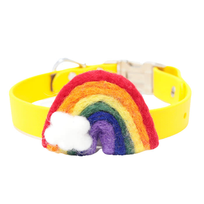 Dog & Co rainbow pet collar accessory