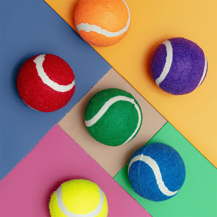 Dog & Co pride rainbow tennis balls
