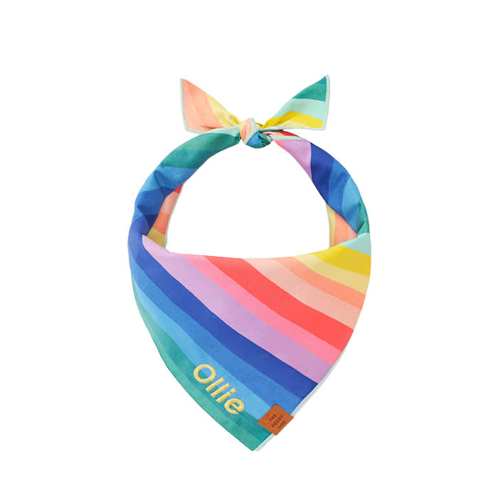The Foggy Dog rainbow bandana
