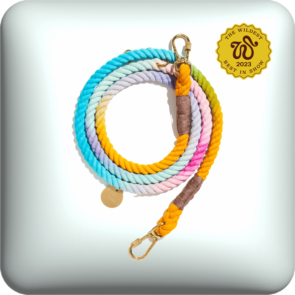 Found My Animal rainbow rope leash