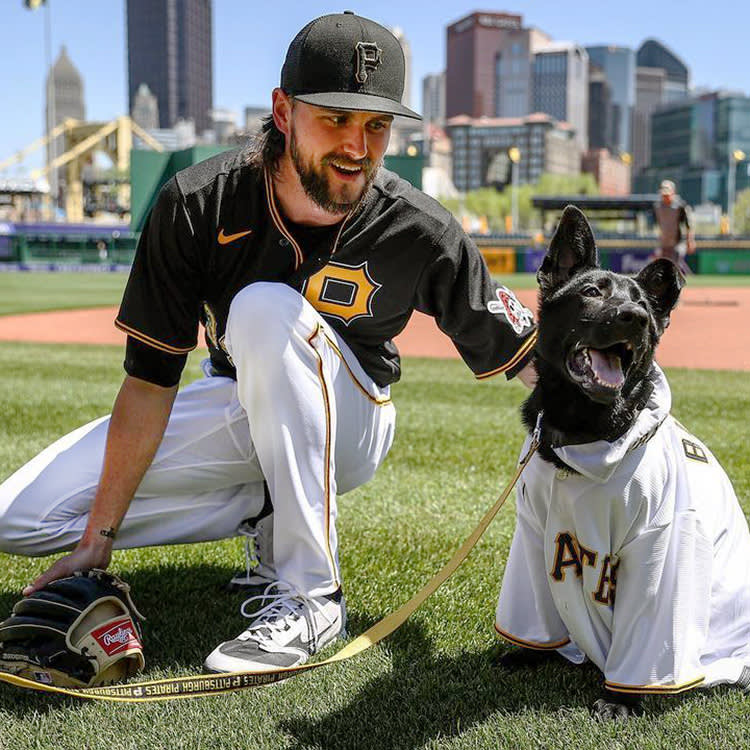 Your Team's Most Valuable Rookie This Year Might Be a Shelter Dog