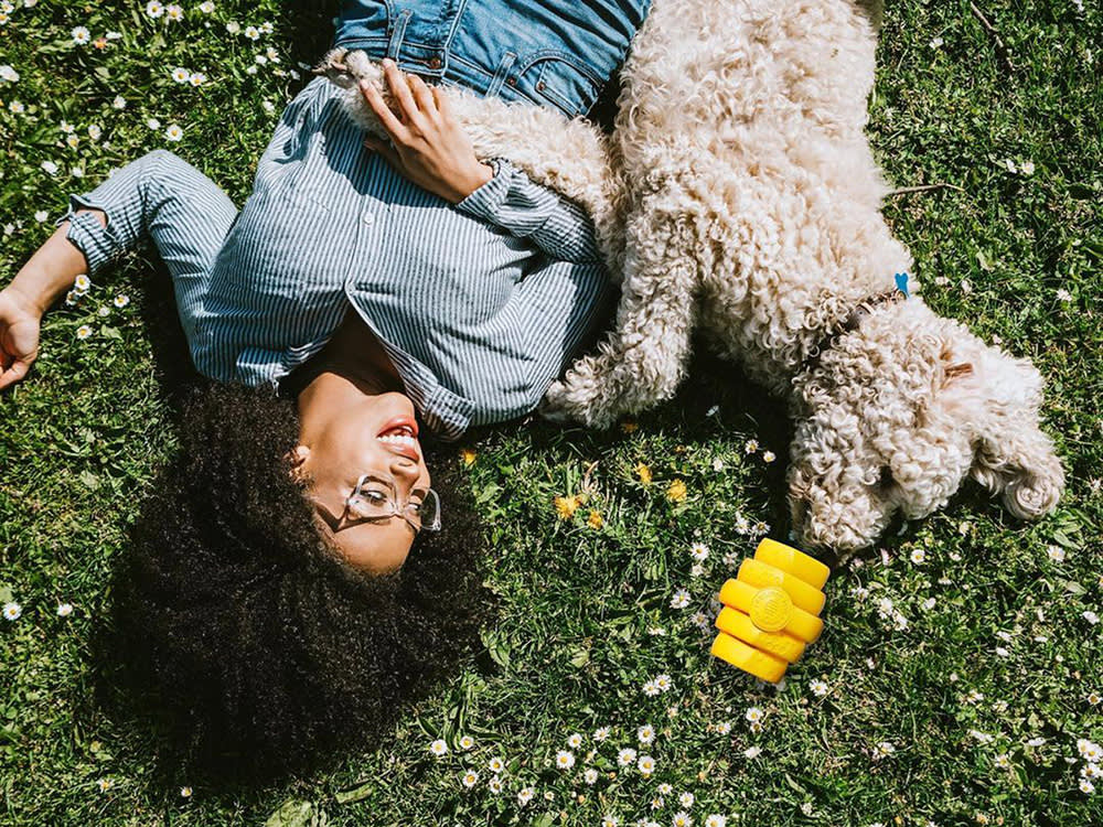 This Honeycomb Dog Toy Is Secretly a Bee-Saving Machine