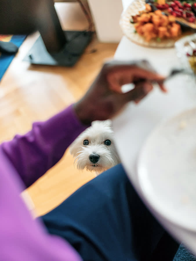 Your Puppy Can Eat More of Your Food Than You Think. Two Things Can Still Hurt Them.