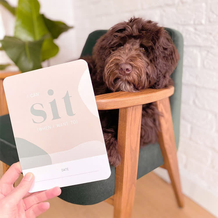 Puppy Milestone Cards Are a Photo Prop. Yours Should Be a Deadline.