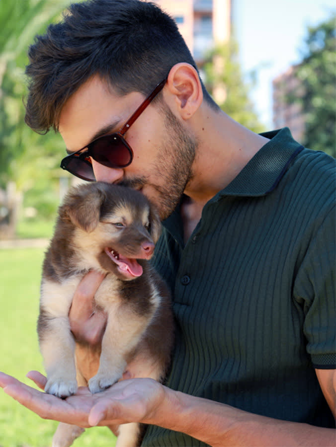 Why Your Puppy's Rabies Shot Can't Come Too Early or Too Late