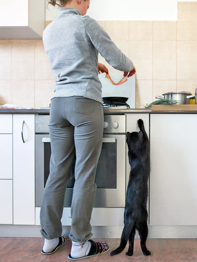 The 'Natural' Raw Diet Is Failing Cats on Two Fronts