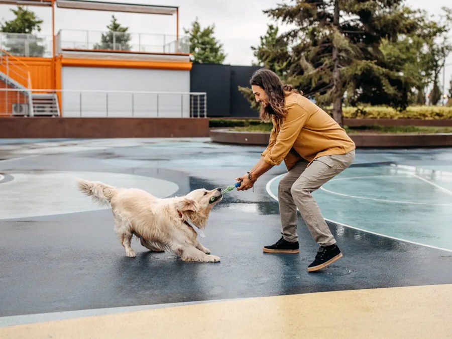 Your Reactive Dog Can't 'Settle.' Stop Asking and Give Them a Job.