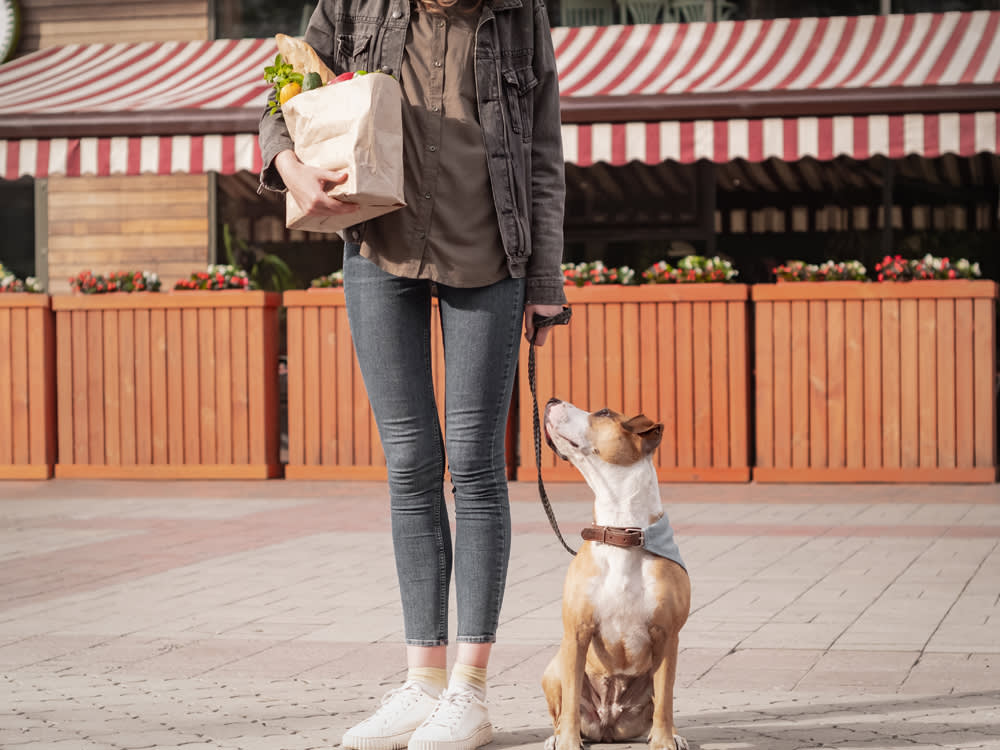 Your Dog's Food Bag Isn't Recyclable. That Doesn't Mean It's Trash.